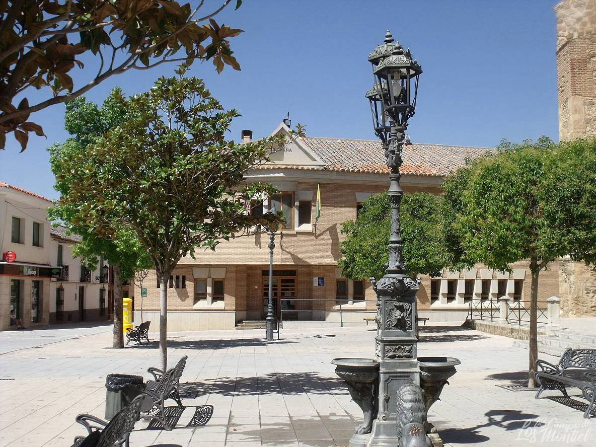 Torrenueva (Ciudad Real) - Campo de Montiel